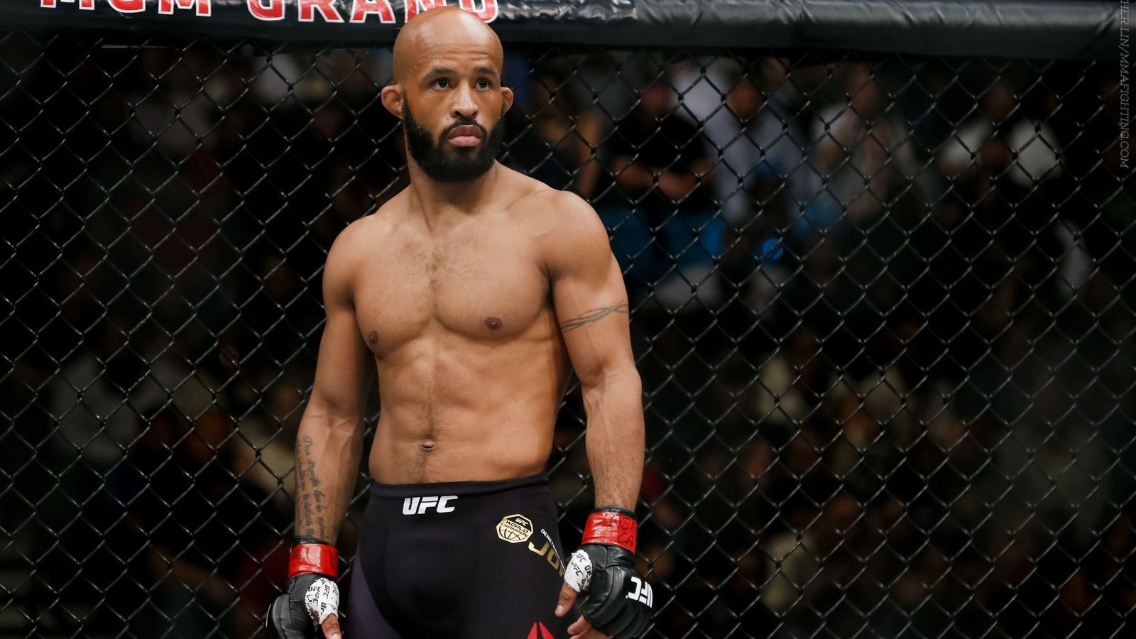 Mighty Mouse On The Verge Of Immortality