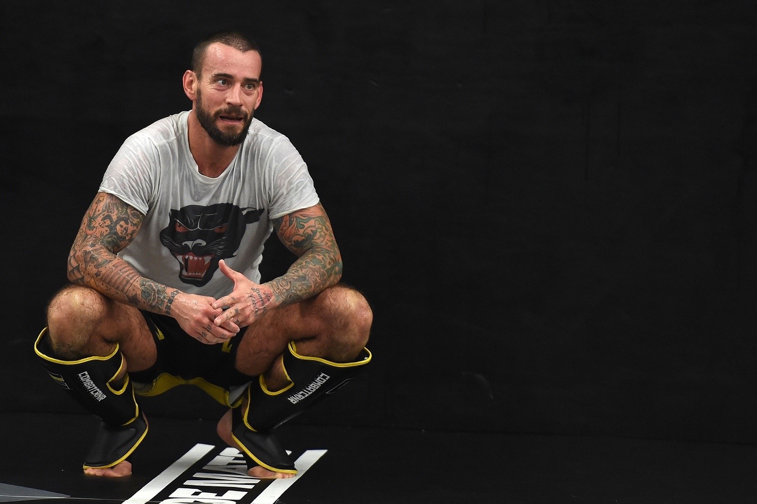 Is CM Punk Fighting In The UFC Again?
